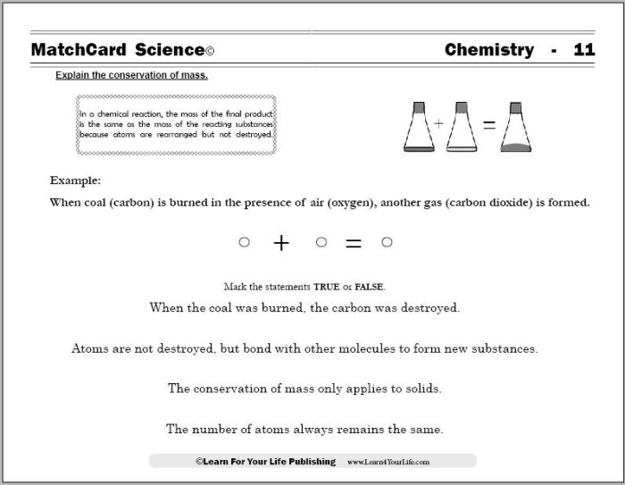 Law of conservation of matter worksheet