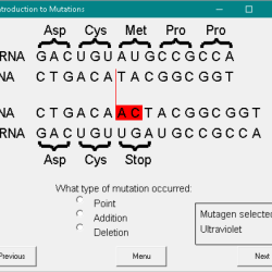 Dna mutation simulation worksheet answer key